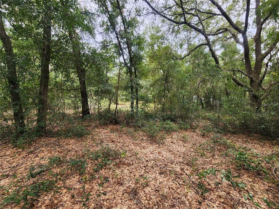 En Venta: $89,500 (1.34 acres)