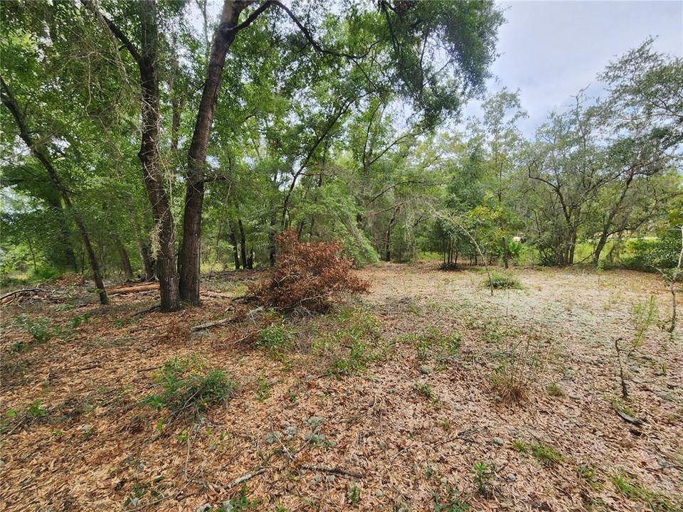 En Venta: $89,500 (1.34 acres)