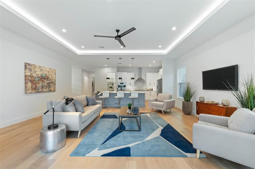 tray ceilings in Great room