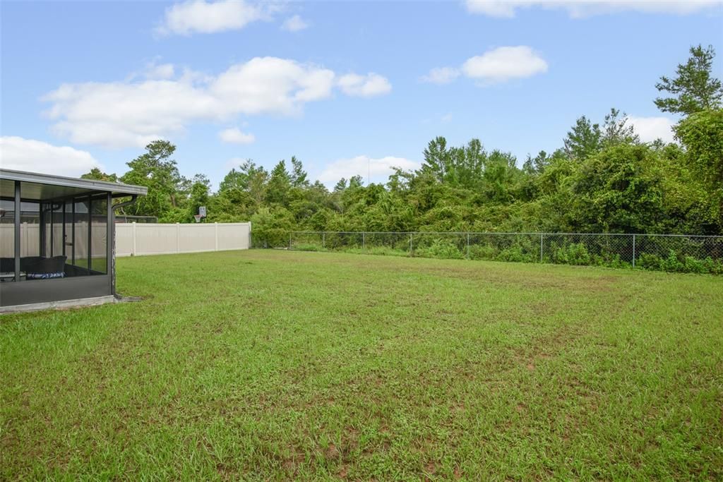 Huge backyard. The options are endless. Completely fenced for the pets or for playing.