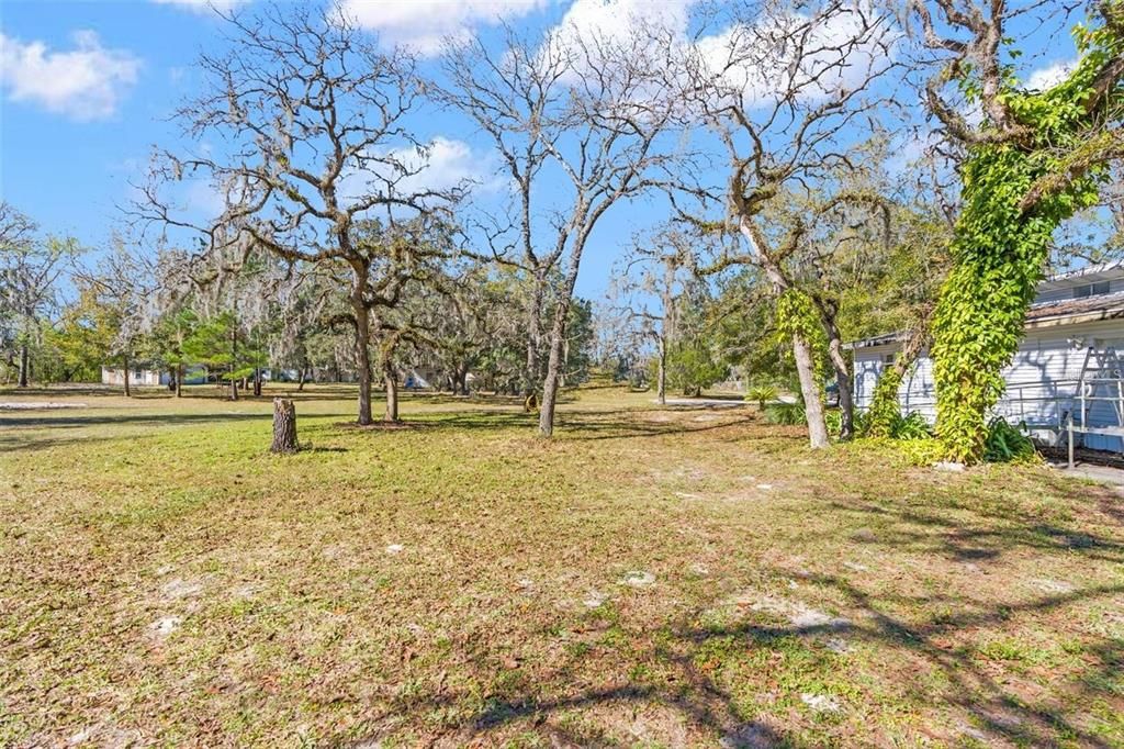 view from back of the property to the road