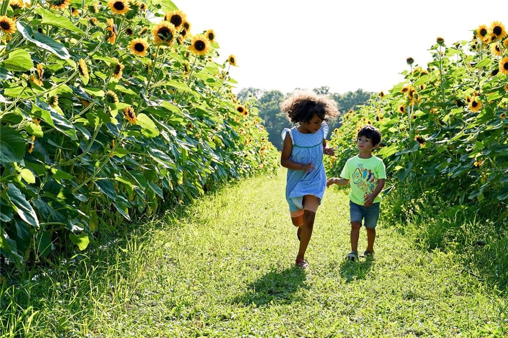 The popular Cannon Farms is just minutes up the road