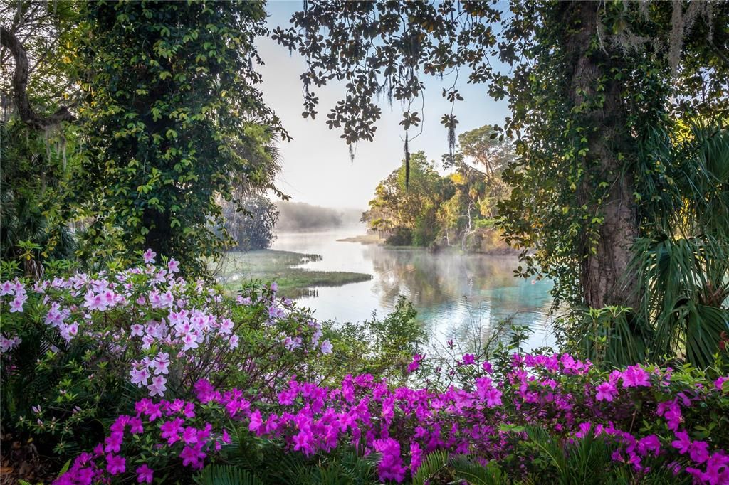 Rainbow Springs State Park, with waterfalls and plenty to enjoy when family comes to town