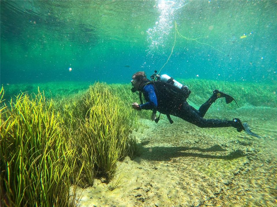 Like diving or snorkeling, The Rainbow Rive is perfect for it!