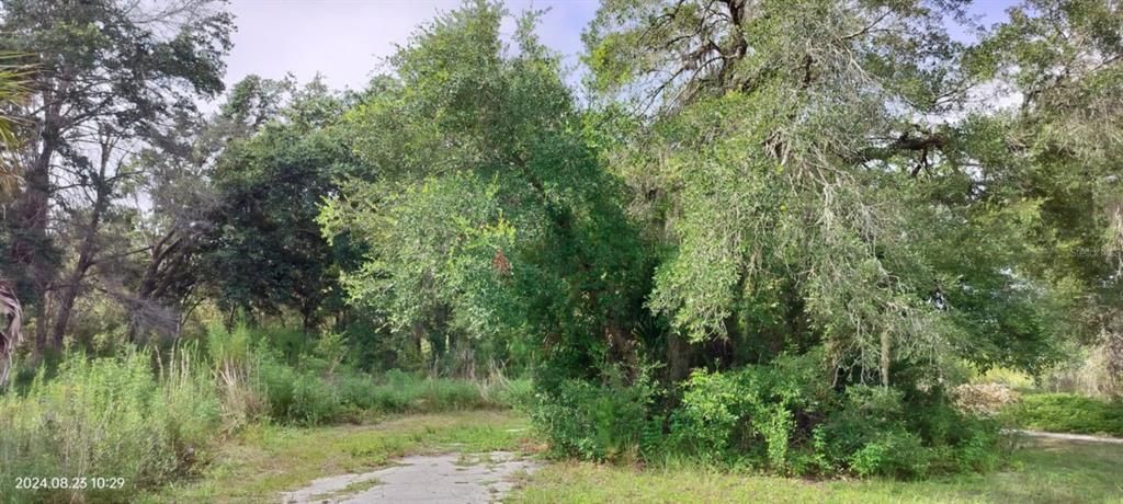 En Venta: $15,000 (0.15 acres)