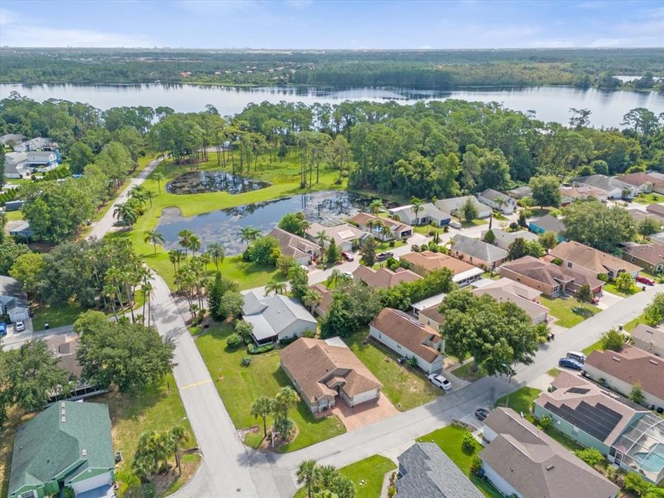 Aerial View of the Neighborhood