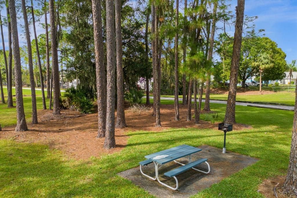 Bass Lake Community Picnic Area