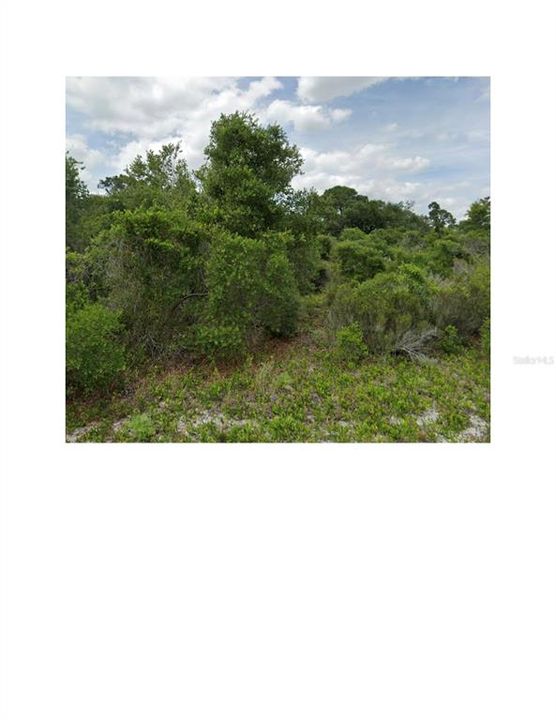 Vendido Recientemente: $30,000 (0.46 acres)