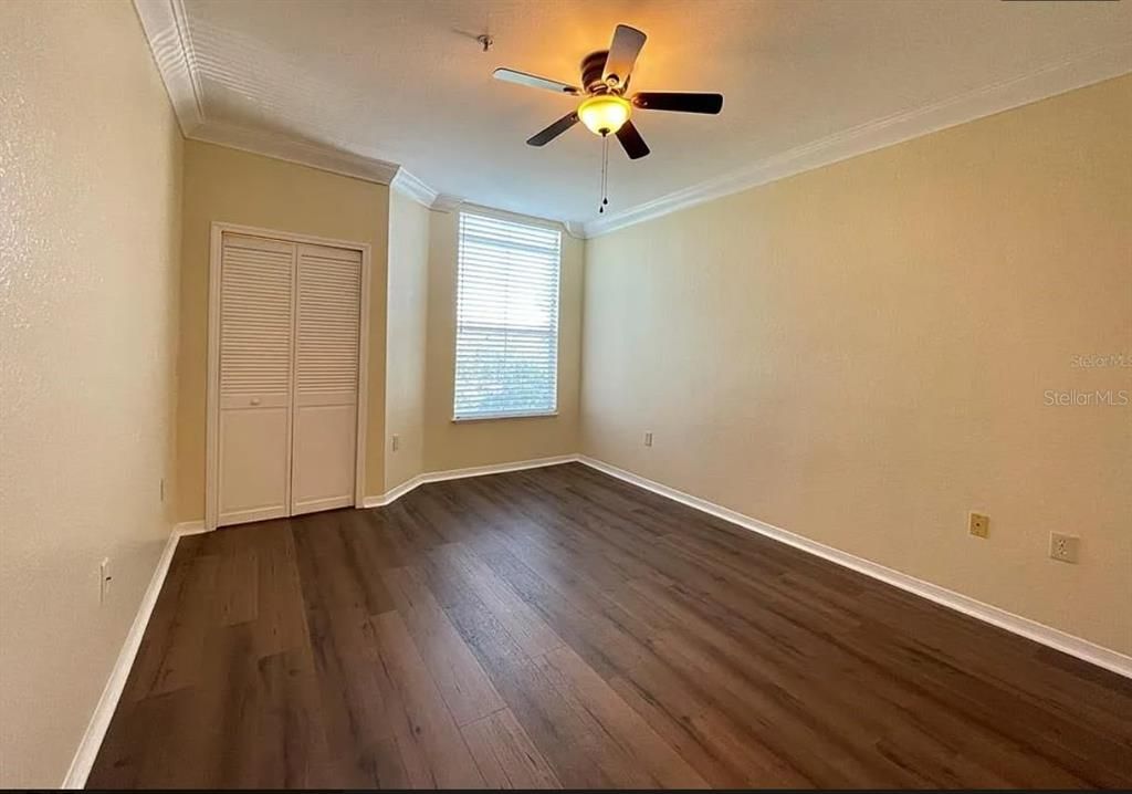 Master bedroom window & walk-in closet