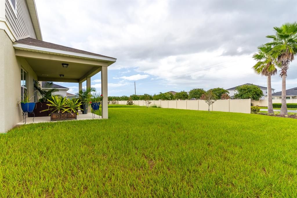 SIDE YARD VIEW