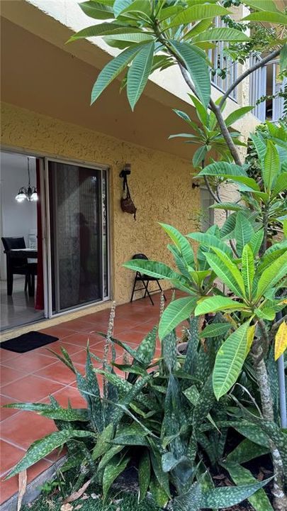 En Venta: $220,000 (3 camas, 2 baños, 1432 Pies cuadrados)