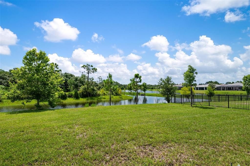 Oversized Backyard overlooking Pond and Preserve