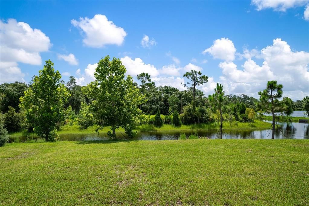 Oversized Backyard overlooking Pond and Preserve