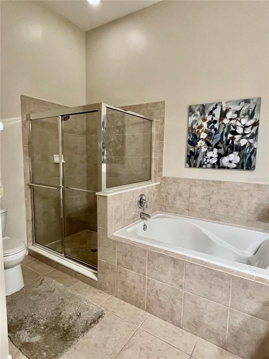 large tub and separate show/toilet