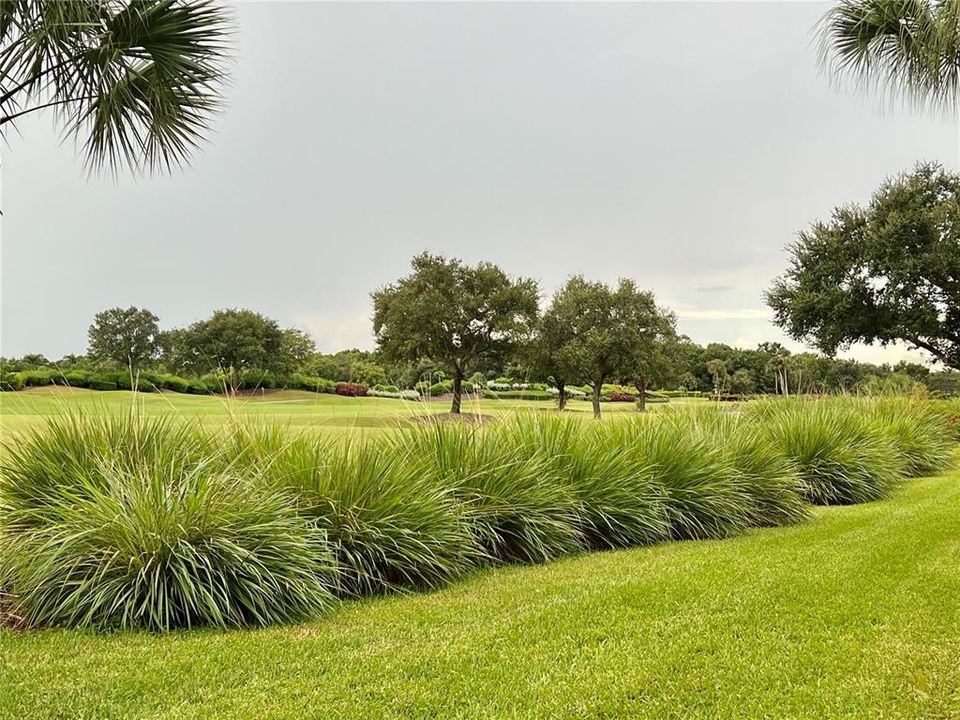 View to right of fairway