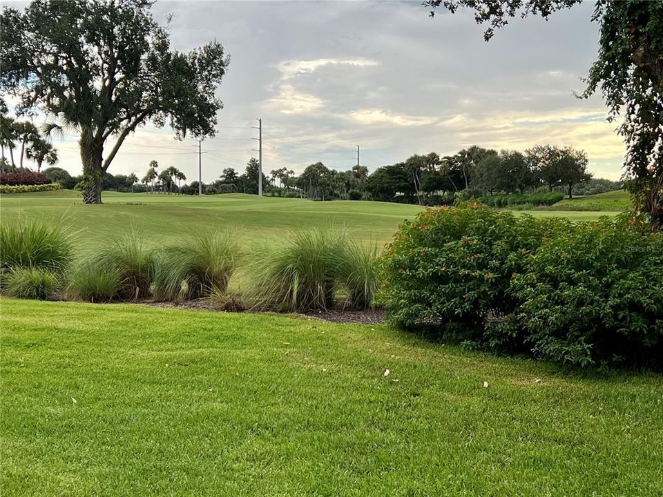 view to the left of unit showing green #4 Old Orange