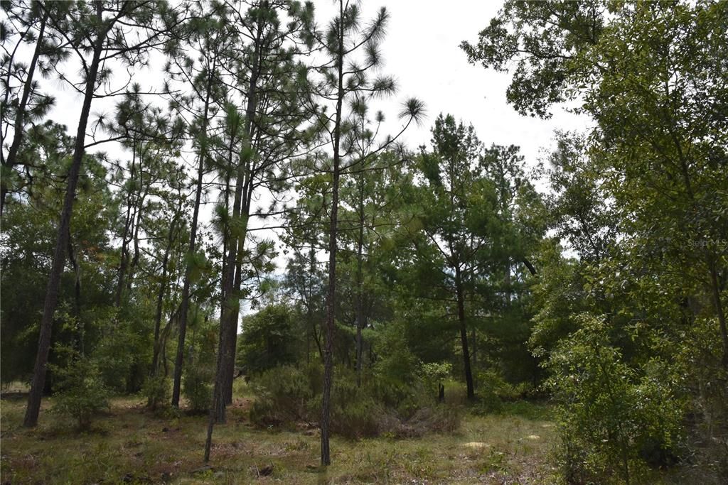 En Venta: $169,900 (21.62 acres)