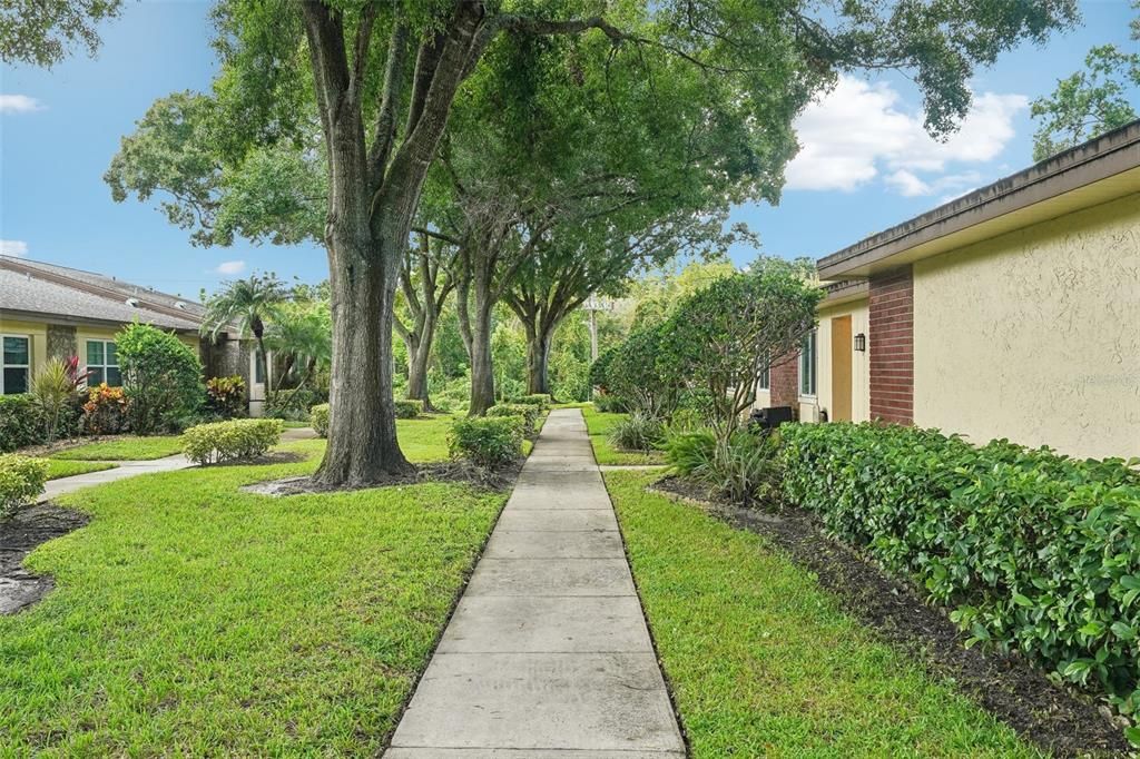 Walkway to front door