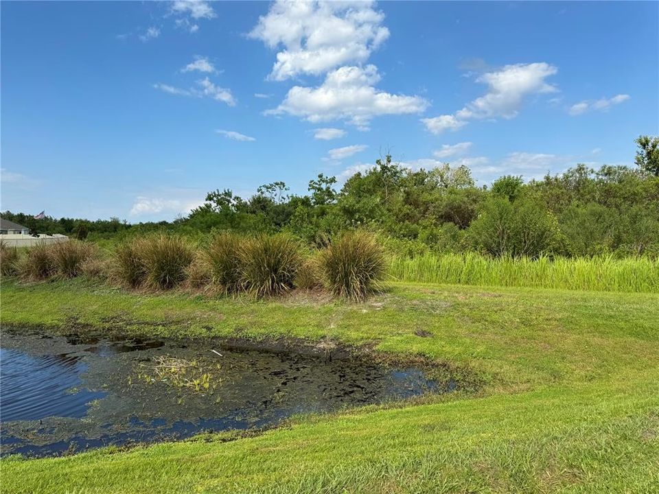 For Sale: $395,000 (4 beds, 2 baths, 1851 Square Feet)