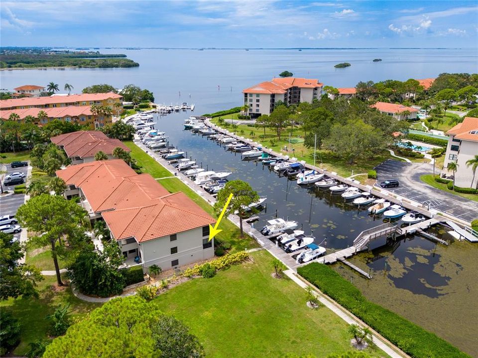 Tarpon Cove Condos with direct gulf access!