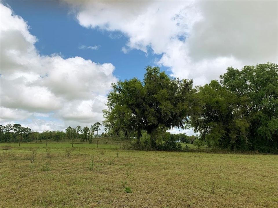 En Venta: $125,000 (3.00 acres)