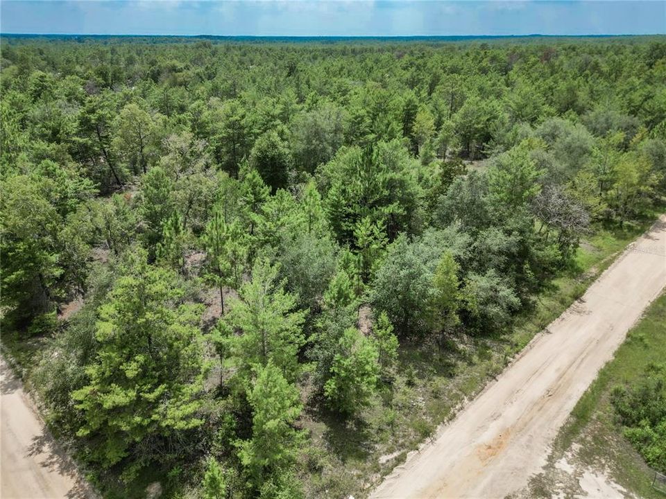 For Sale: $4,900 (0.23 acres)