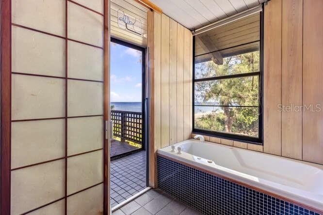 Primary shower overlooking the beach