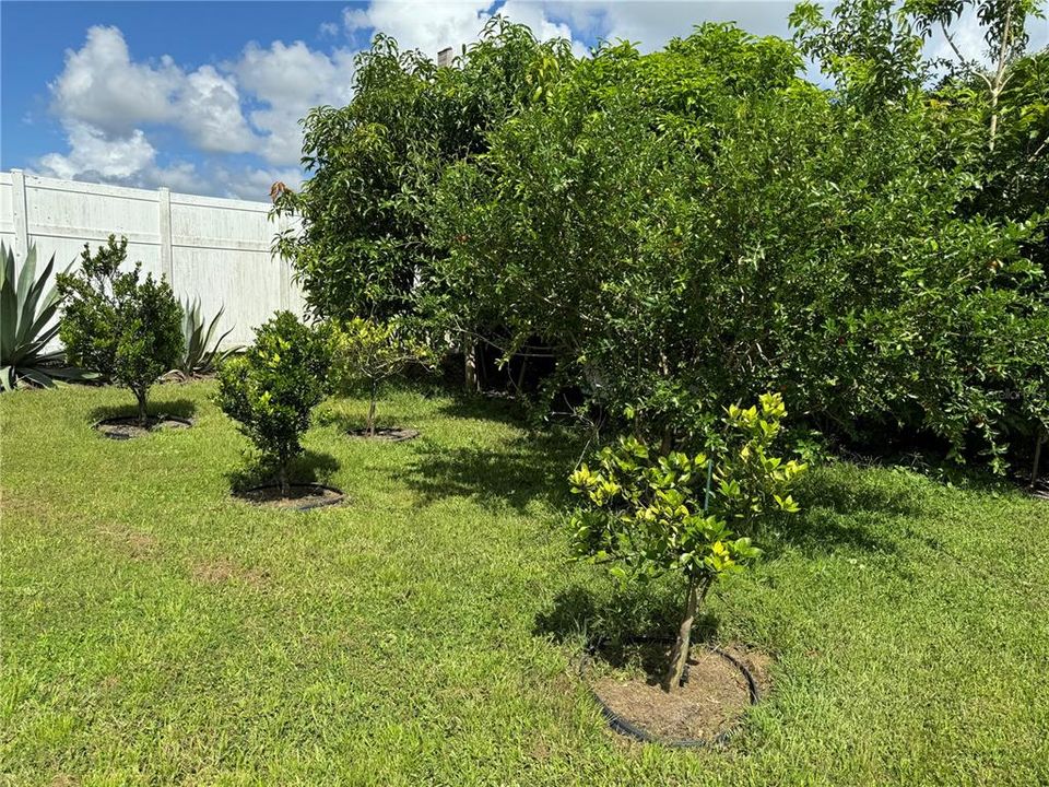 For Sale: $879,000 (3 beds, 2 baths, 2070 Square Feet)