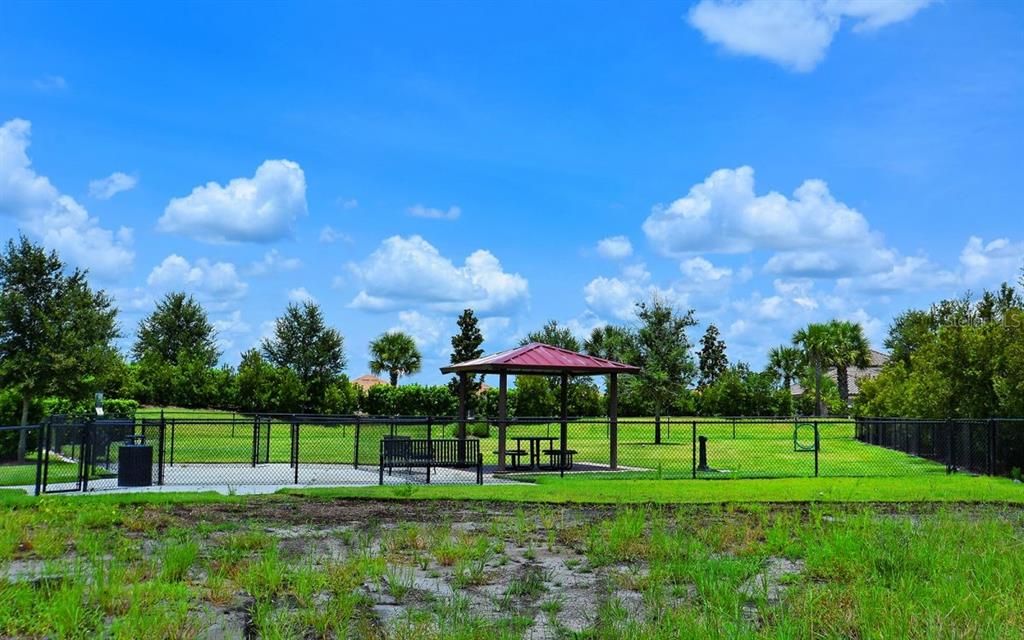 One of the dog parks