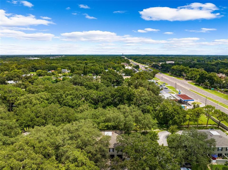 The surrounding area shows USF, VA Hospital, shopping centers, and more... all within MINUTES to this home.