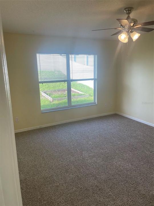 Primary bedroom has double window with view of back yard.