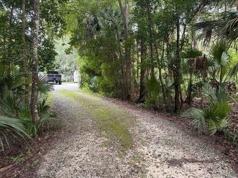 Pathway towards the Driveway