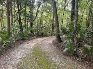 Pathway towards the Driveway