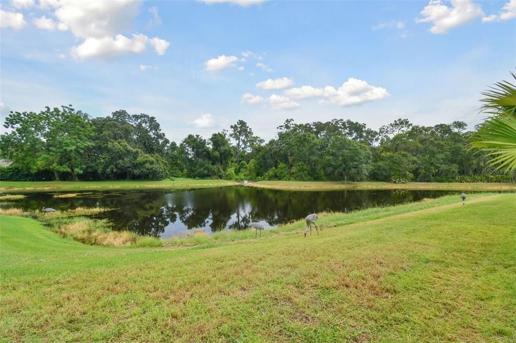 Active With Contract: $398,000 (4 beds, 2 baths, 1652 Square Feet)