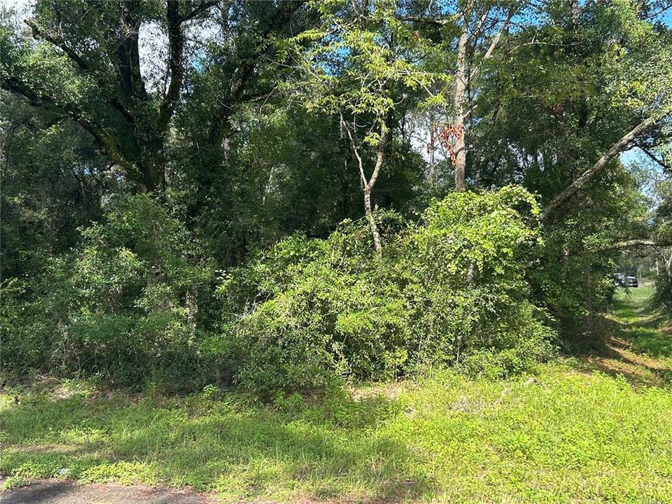 En Venta: $29,900 (0.23 acres)