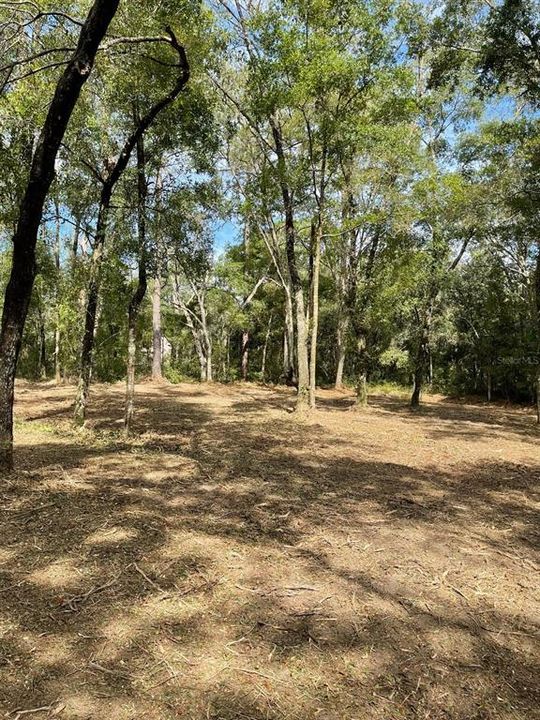 En Venta: $28,900 (0.23 acres)