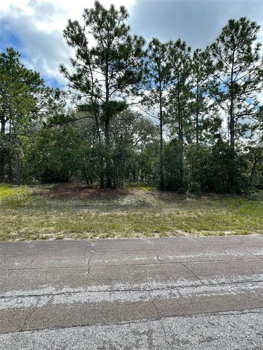 For Sale: $29,900 (0.23 acres)