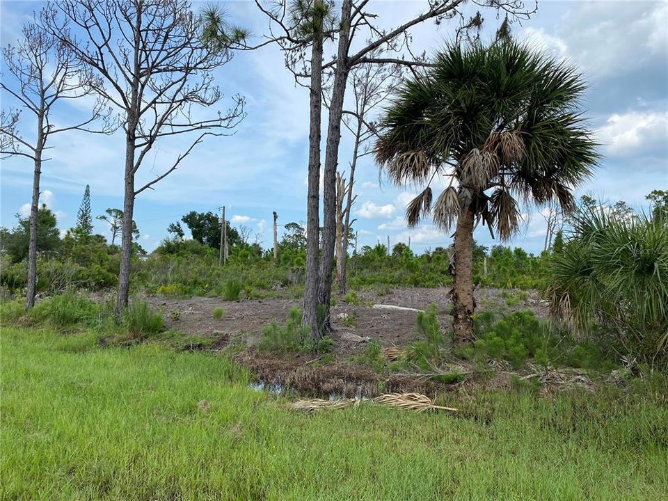 Activo con contrato: $16,000 (0.23 acres)