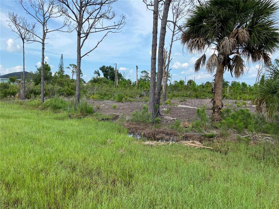 Activo con contrato: $16,000 (0.23 acres)