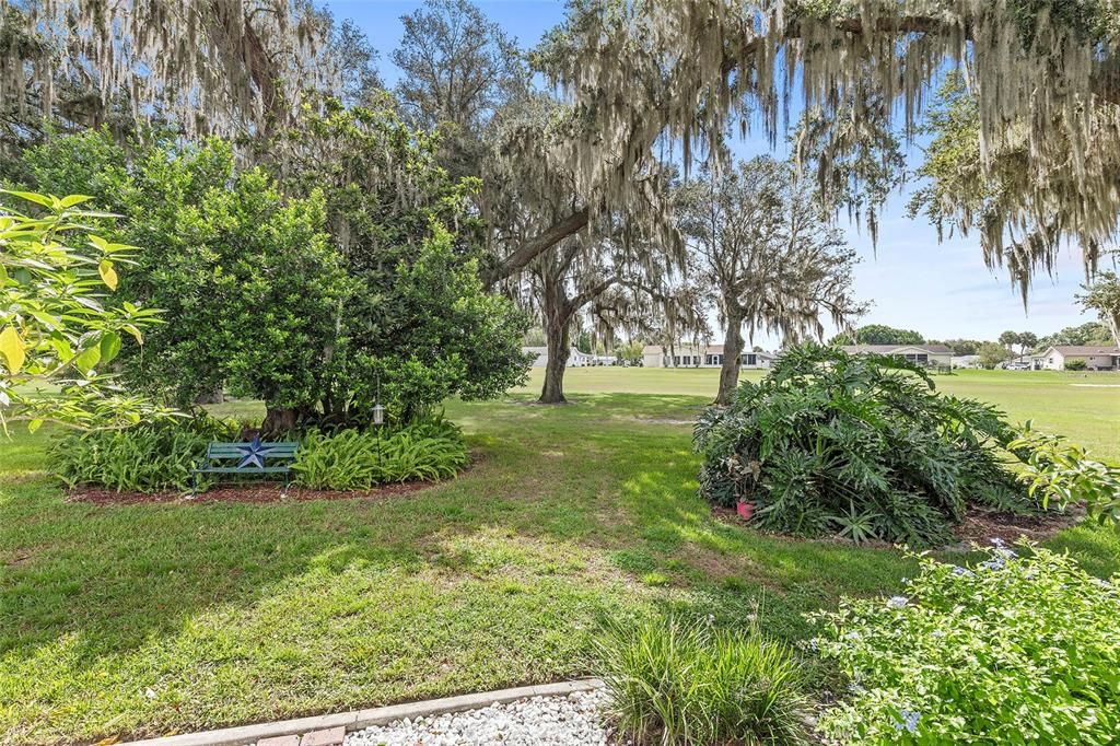 BEAUTIFUL LUSH BACKYARD