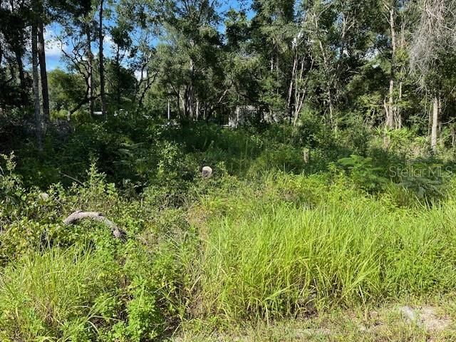 En Venta: $25,000 (0.24 acres)