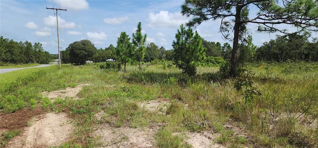 property looking north to Papaya