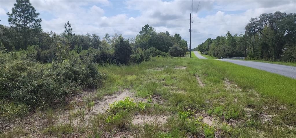 property looking south to Nectarine