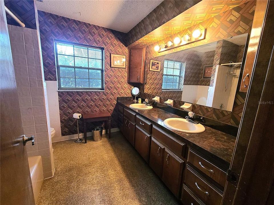 Hall bathroom