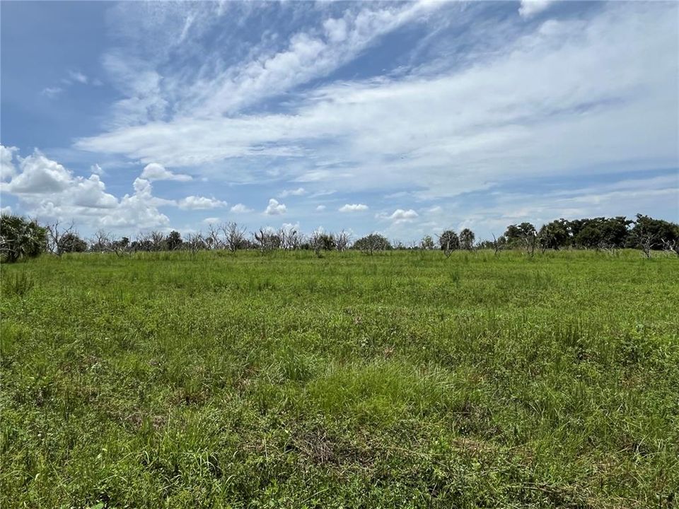 For Sale: $799,000 (25.00 acres)