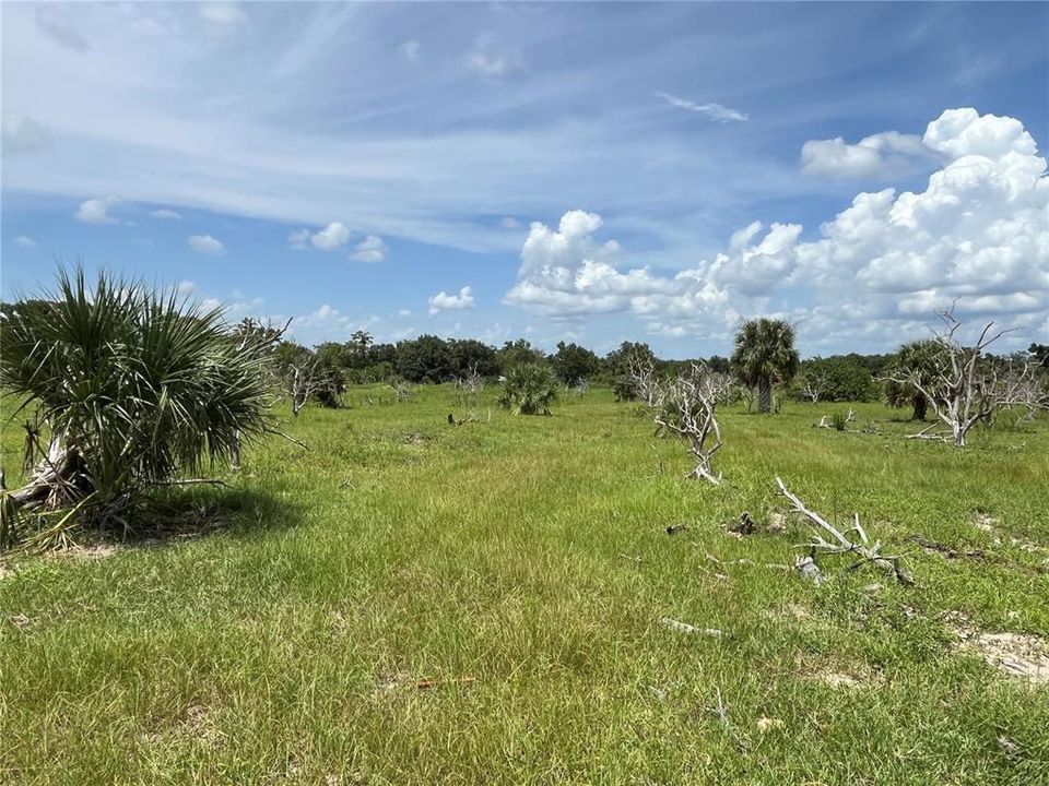 For Sale: $799,000 (25.00 acres)