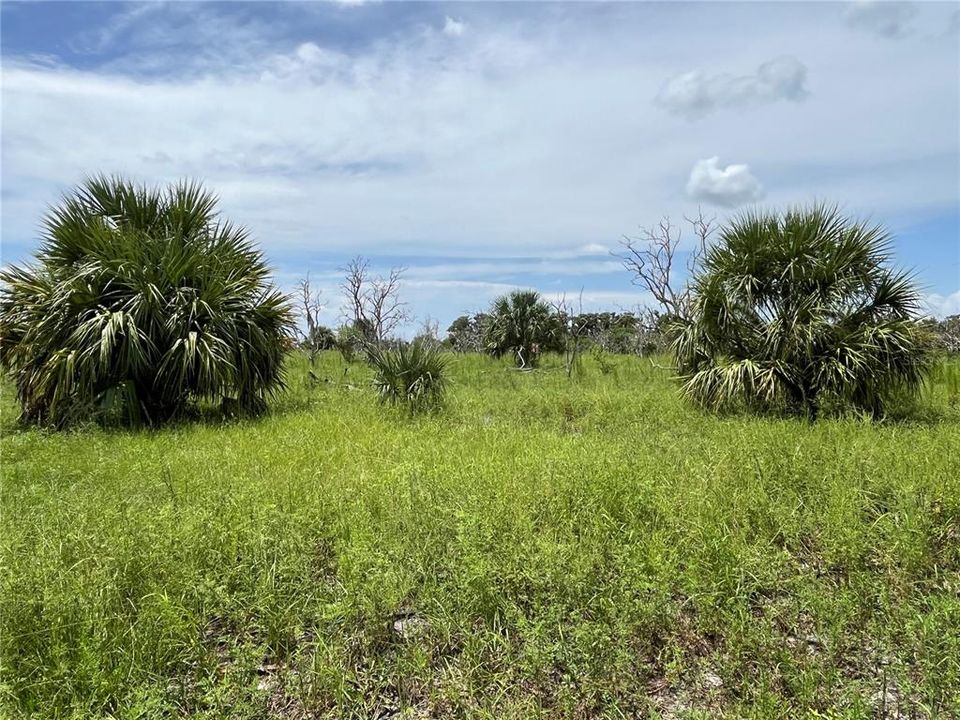 En Venta: $799,000 (25.00 acres)