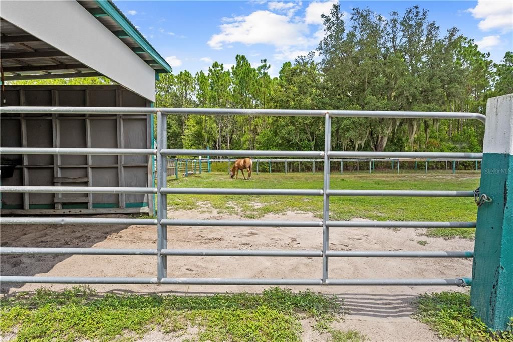 For Sale: $1,200,000 (3 beds, 2 baths, 2007 Square Feet)