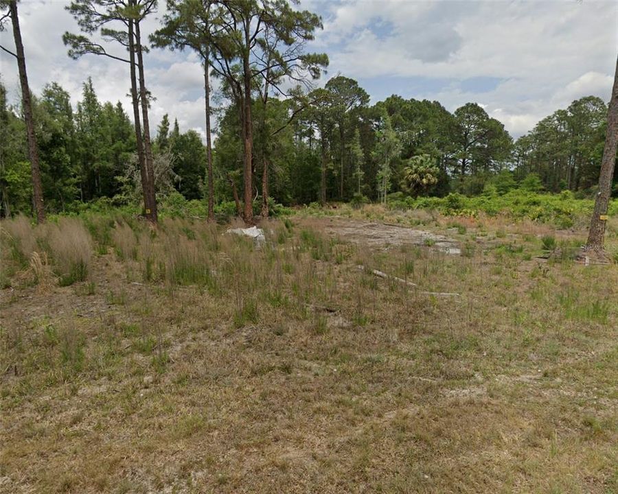 For Sale: $25,900 (1.30 acres)