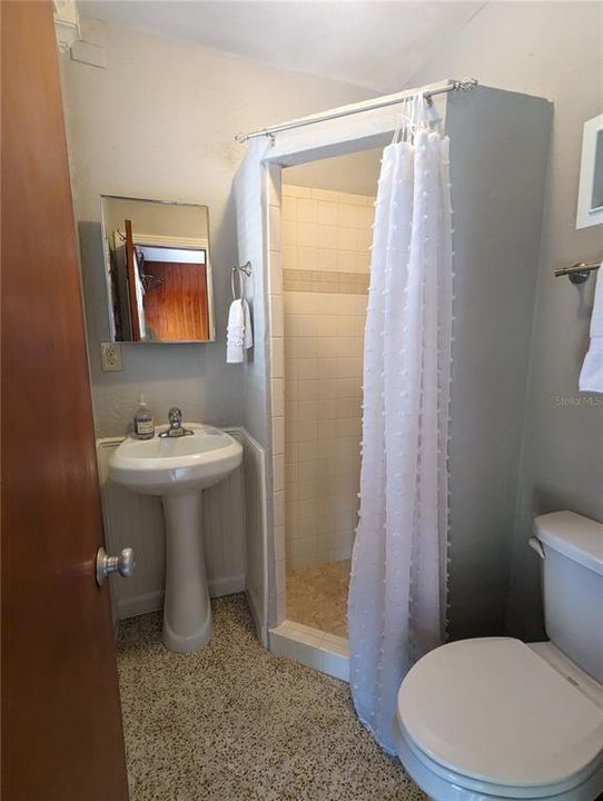 bathroom has a walk in shower.